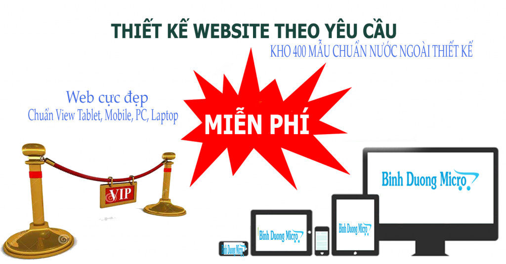 Binh Duong Micro