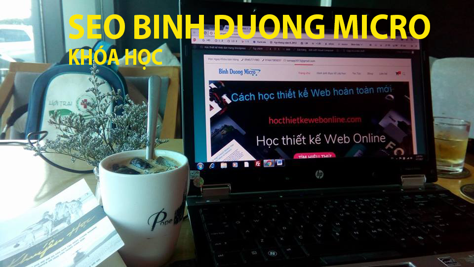 SEO binh duong micro